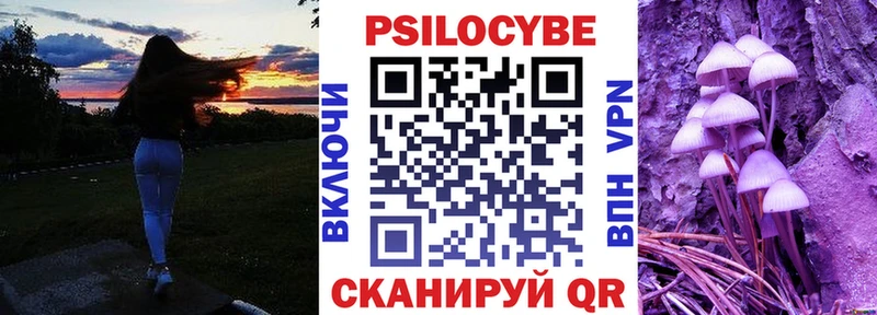 магазин продажи наркотиков  Энгельс  Псилоцибиновые грибы ЛСД 